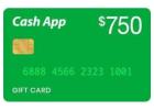 MAKE AT LEAST $325 PER DAY!