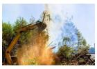 Arborist in Mississauga
