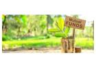 Invest in Mutual Funds with SafeInvest – Build Wealth Smartly