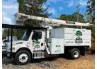 Tree Service