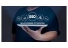 SEO Company in Delhi