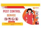 Same Day Pest Control Epping – Fast, Safe & Reliable Pest Removal Services
