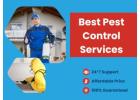 Same Day Pest Control Fairfield