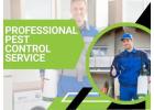 Same Day Pest Control Berwick