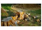 Land Clearing Services in Sonoma County