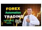 Automate Your Way to Six Figures with Forex