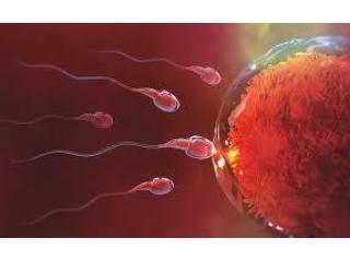Advanced Fertility Centers in Dubai Advanced Fertility Centers in Dubai
