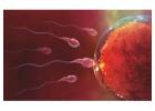 Advanced Fertility Centers in Dubai