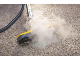 carpet steam cleaning specialist Adelaide carpet steam cleaning specialist Adelaide