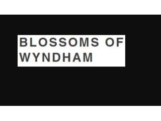 Same Day Flower Delivery Seabrook -  Blossom of Wyndham Same Day Flower Delivery Seabrook -  Blossom of Wyndham