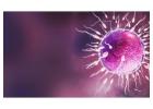 Discovering the Best IVF Clinic in Dubai