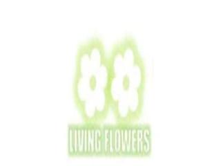 same Day Flower Delivery Glenroy same Day Flower Delivery Glenroy