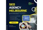 SEO Services for Small Businesses