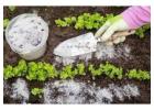 Enhance Your Garden Naturally with Diatomaceous Earth by Amol Minechem Limited!