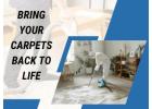 Ballarat Same Day Carpet Cleaning – Quick & Reliable Service
