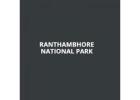 Top Luxury and Budget Hotels Near Ranthambore National Park – Ranthambhore National Park
