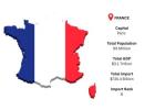 France Import Data 2025 | Latest French Import Statistics & Trade Report – Import Globals
