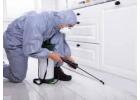 Comprehensive Home Pest Control Services Vancouver for Safety