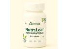 Natural Moringa Leaf Capsule for Energy, Detox & Immunity Support