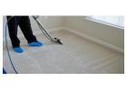 Reliable Carpet Cleaning Services in Southeastern Michigan