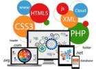 Software Development - Ambesoft technologies 