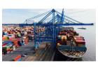 services de transport international de conteneurs