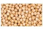 Get On-Time Deliveries from Kabuli Chickpeas Wholesaler