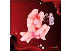 Explore Adult Pleasure at delhisextoy.com – Discreet & Safe