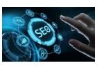 Which SEO Packages in Sydney Offer the Best ROI?
