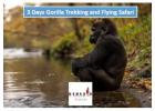 Uganda gorilla trekking tours | Genesis of Adventure 