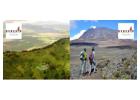 Tanzania Serengeti Migration Safari & Tour Packages | Genesis of Adventure 