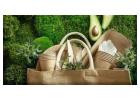 Sustainable Packaging Solutions for Modern Businesses