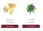 Buy Vegetables Online