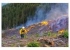  Wildfire Protection Blueprint for Safer Landscaping