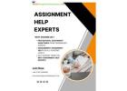 Best Assignment Help Experts – Professional Academic & MBA Assignment Assistance