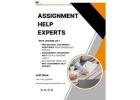 Best Assignment Help Experts – Professional Academic & MBA Assignment Assistance