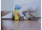 Expert Manchester Pest Control Services