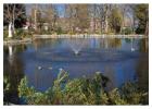 Pond Maintenance & Pond Supplies