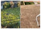 Expert Moss Roof Cleaner Services – Safe, Manual Roof Treatment