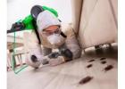 Pest Control St. Albert