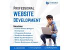 Professional Web Development Services | Syngrid Technologies