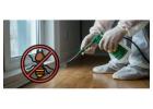Reliable Termite Pest Control Services for Homes & Offices