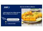 ¿Qué impulsa hoy al Mercado de Maíz en México y su futuro?