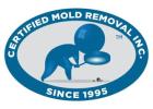 Expert Mold Removal in Monmouth County, NJ