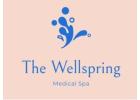 The Wellspring Medical Spa