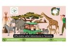 Affordable Safari Adventures in Tanzania