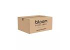 Order Bloom Tour 40 Pickleballs Pack of 20 Genuine Product