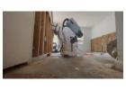 Mold Remediation Charleston SC