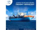 Ocean Freight to Singapore for Cost-Effective Bulk Shipping