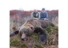 Expert Kodiak Bear Hunting Guides Await!